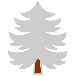 Pine 1d