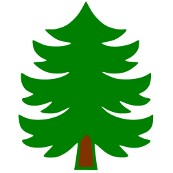 Pine 1e