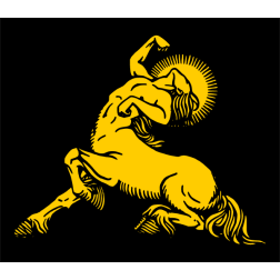 Centaur in the night