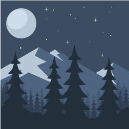 Pine forest in the night