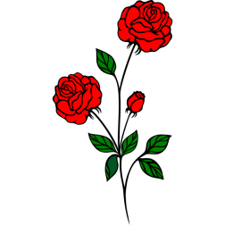 Flower 5b-1701437587