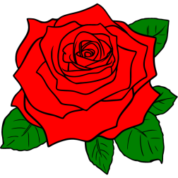 Flower 6b