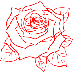 Flower 6d