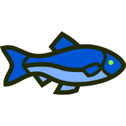 Fish 14