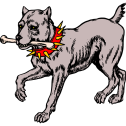 A dog whose ears were cropped