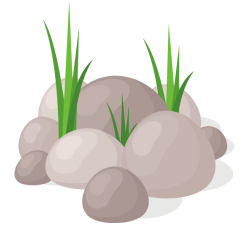Grass and rocks