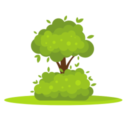 Tree in the bush