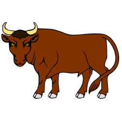 Bull 7