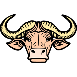Bull 8