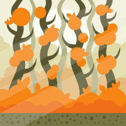 Autumn forest