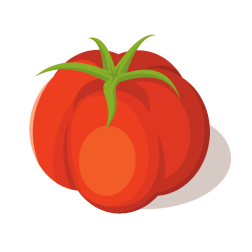 Tomato vegetable