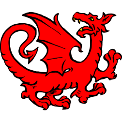 Dragon 12c