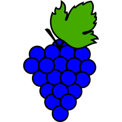 Grapes 21