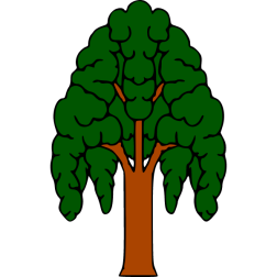 Tree 13b