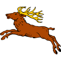 Deer 27