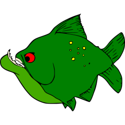 Fish 23