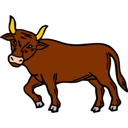 Bull 10