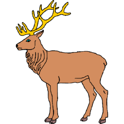 Deer 29