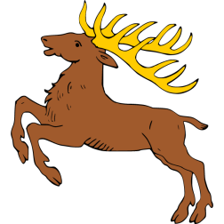 Deer 30