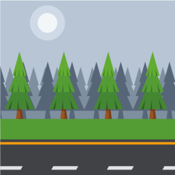 Road in the forest