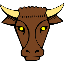 Bull 11