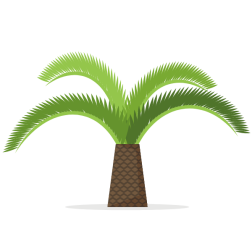 Palm tree on white background