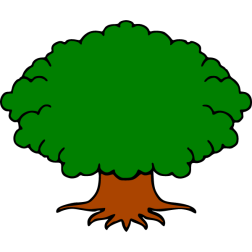 Tree 24