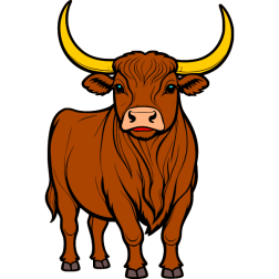 Bull 12