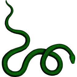 Snake 10