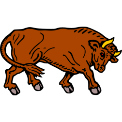 Bull 13