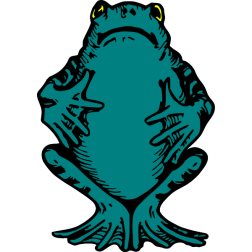 The frog prepares to croak