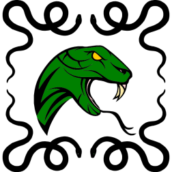 Head of a snake
