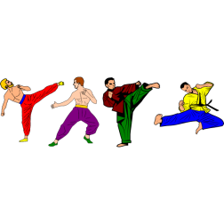 Four athletes perfect their martial arts