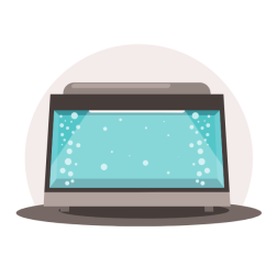 Aquarium filled with water
