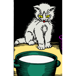 Sweet kitty can't resist a bowl of milk