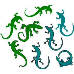 A big showdown between two groups of lizards