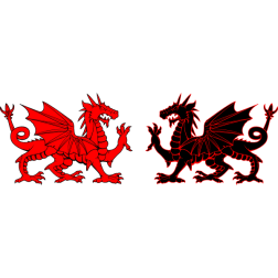 In every man there are two dragons...