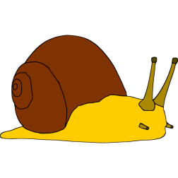 Snail 5