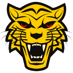 One very angry tiger