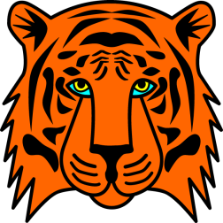 Another drawing of a tiger's head