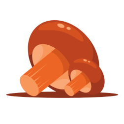 Forest mushrooms