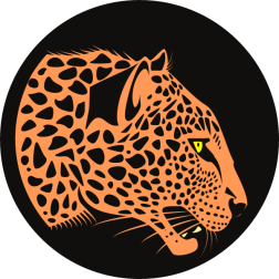 Leopard on the hunt