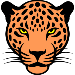 A jaguar stalks its prey