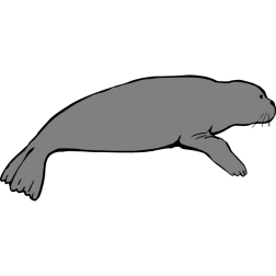 A seal rests on the shore