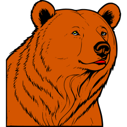 The bear watches possible prey in the distance