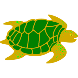 The little turtle goes out into the world