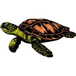 The turtle swims determinedly towards the beach where it was born once upon a time