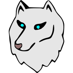 Arctic wolf, female