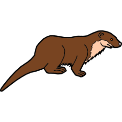 The otter stalks the fish