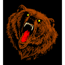 A very, very angry bear